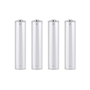 DEM-365-P | AAA lithium battery 1.5 V for high performance