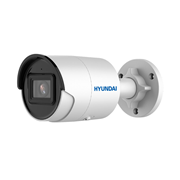 HYU-925 | IP fixed dome with Smart IR of 30m for outdoor
