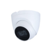IPC-TP8F-RE | IP StarLight dome with Smart IR of 30 m for outdoors