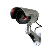 SAM-6790 | Simulated outdoor camera with flashing LEDs
