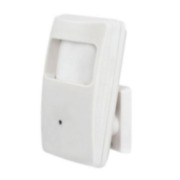 CTD-613N | 4 in 1 hidden camera on PIR detector, LITE series with IR illumination of 10 m for outdoors