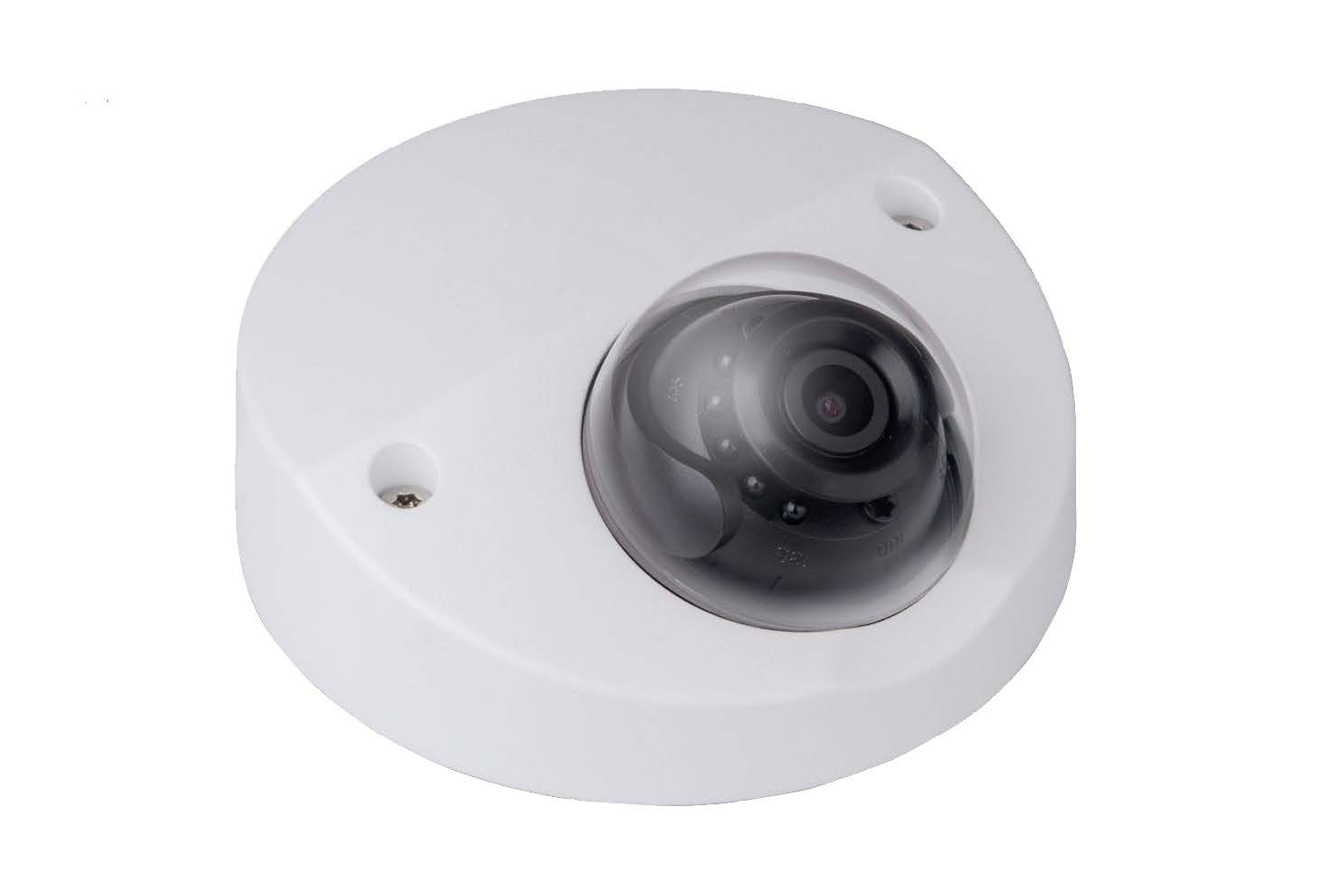 SAM-2869 | Outdoor antivandal dome day / night of 4 megapixels with infrared illumination 20m