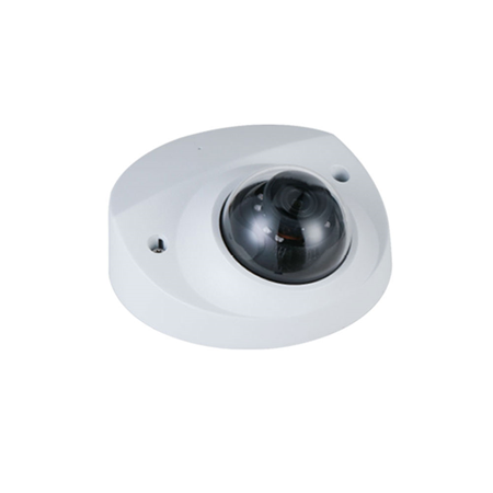 SAM-4879|StarLight 2MP vandal-resistant outdoor IP dome