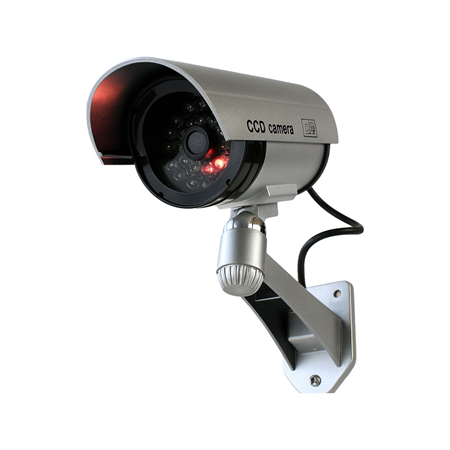 SAM-6790|Simulated outdoor camera with flashing LEDs