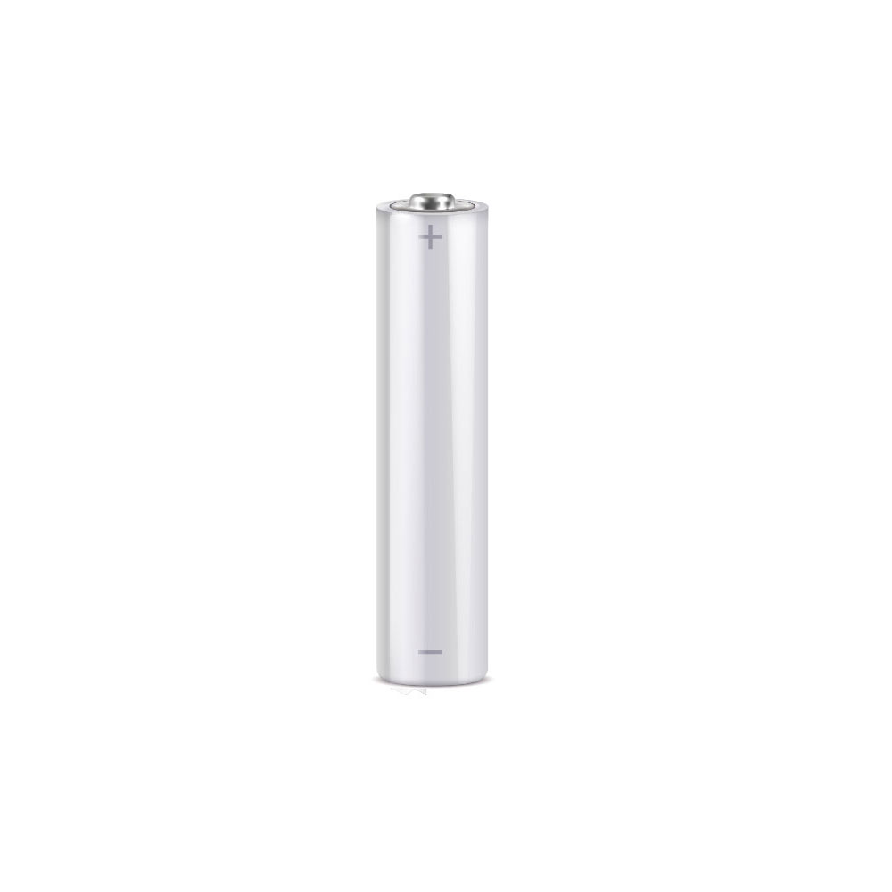DEM-340-P | AAA 1.5 V professional alkaline battery