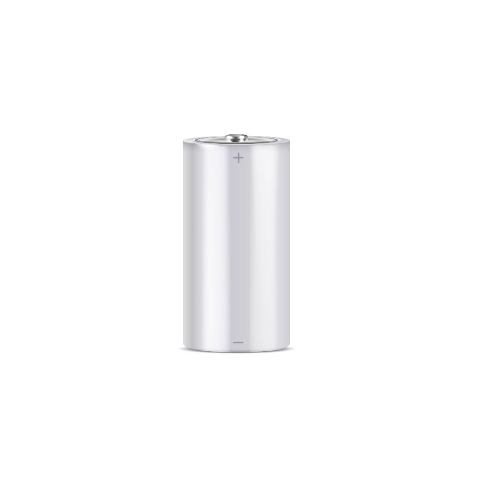 DEM-362-P | Professional alkaline battery C 1.5 V LR14
