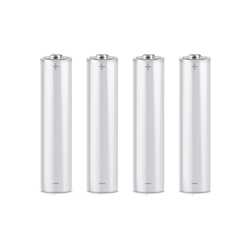 DEM-365-P | AAA lithium battery 1.5 V for high performance