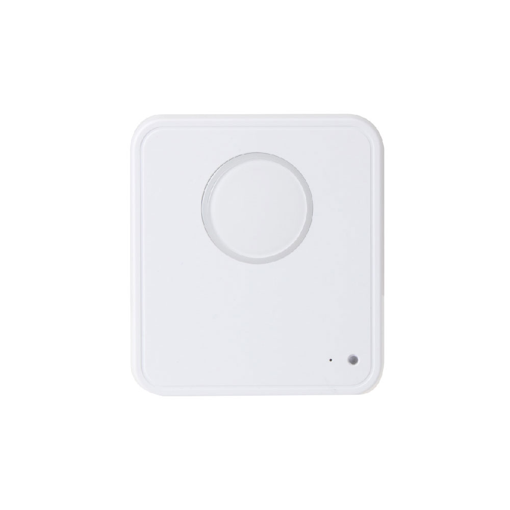 VESTA-464 | Intrusion detector via radio sound VESTA